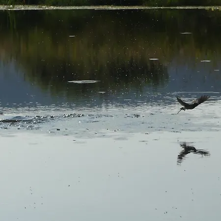 L'ermite Aux Pieds Dans L'eau