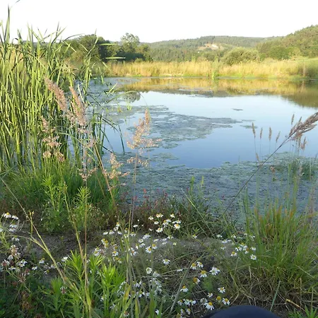 L'ermite Aux Pieds Dans L'eau * Monistrol-sur-Loire